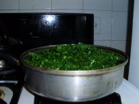 Wilted kale