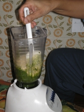 pesto 4